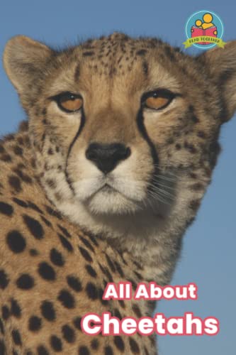All About Cheetahs (Read Together)
