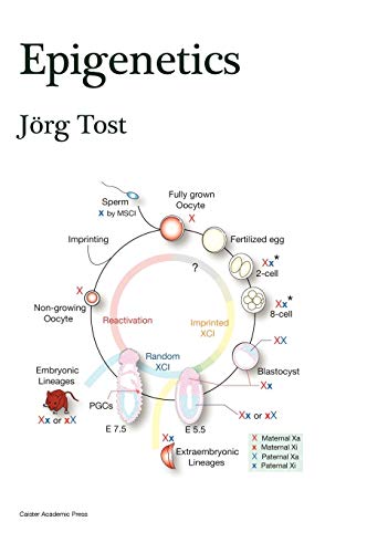 Epigenetics