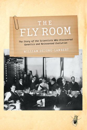 The Fly Room