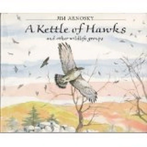A Kettle of Hawks and Other Wildlife Groups