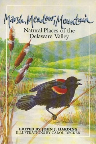 Marsh Meadow Mountain
