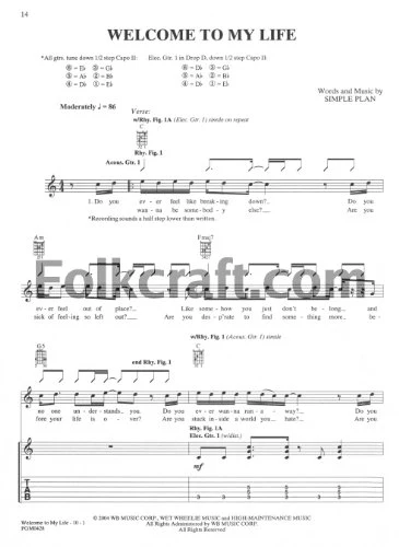 Simple Plan -- Still Not Getting Any...: Authentic Guitar TAB